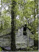 pi-may-va-leaves.jpg